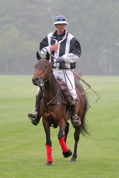 Polo_Art   070.jpg